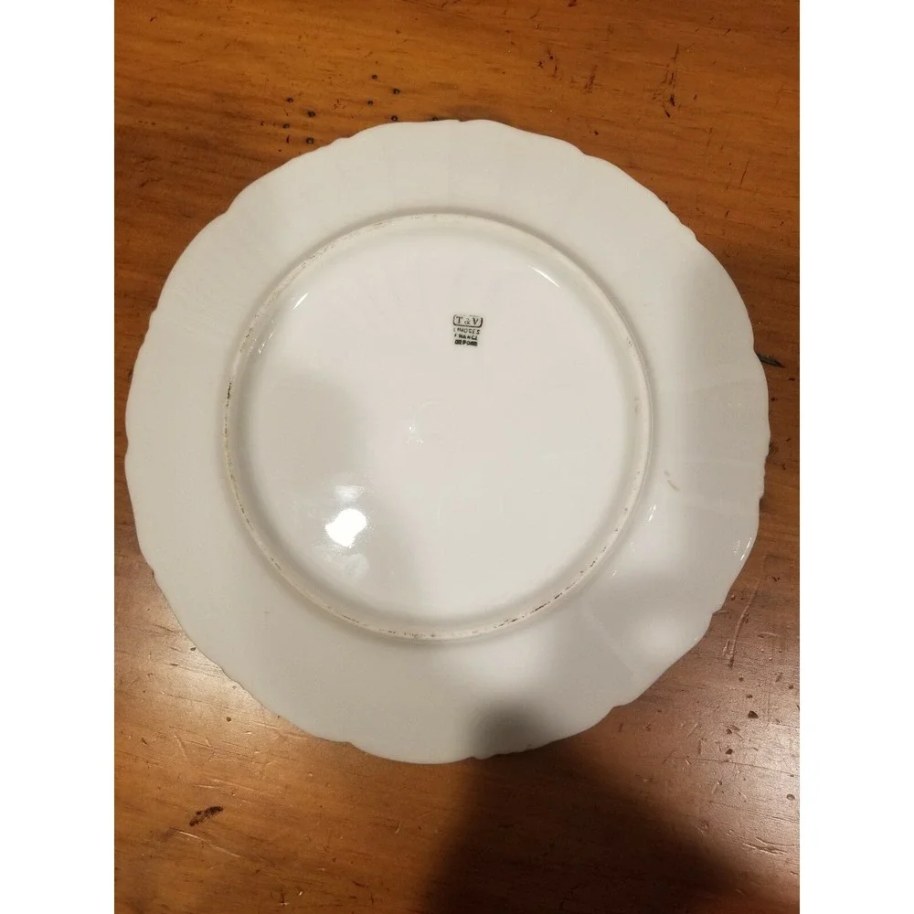 Antique T&V Limoges France Depose Hand Painted Plates 8.25